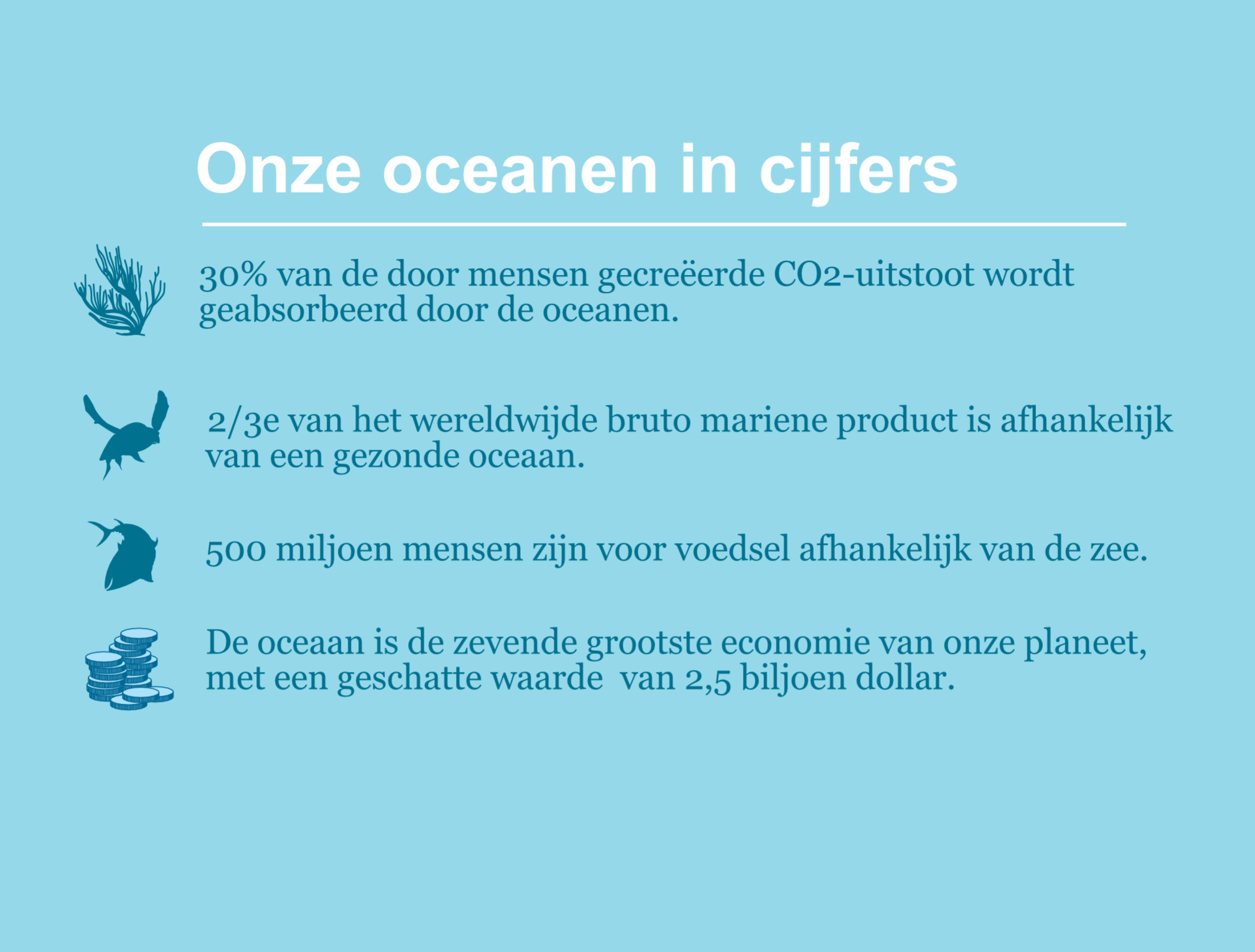 Oceanen Beschermen | WWF | Vol Leven, Maar Bedreigd