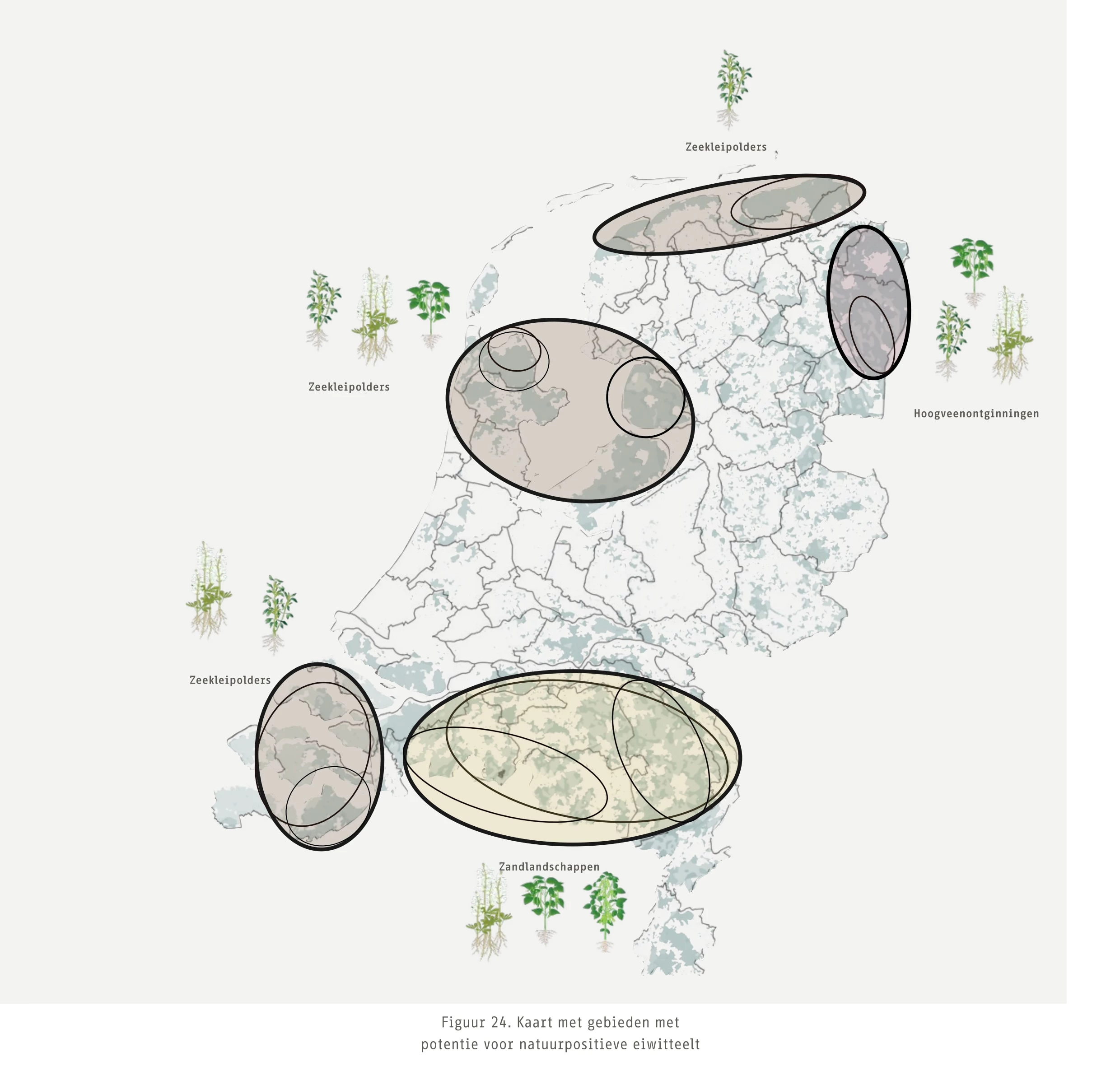 Kaart met gebieden met potentie voor natuurpositieve eiwitteelt.jpg