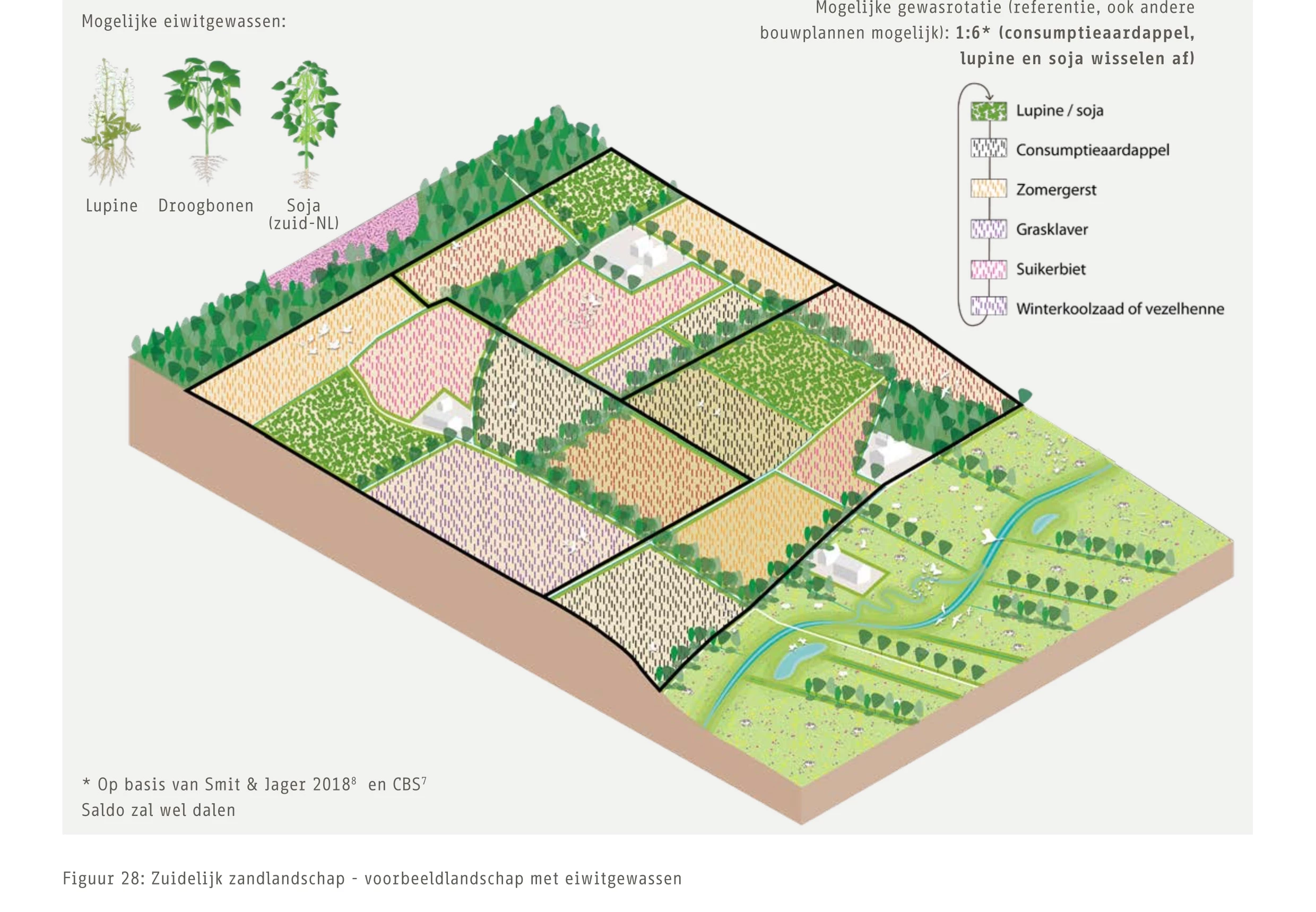 Zuidelijk zandlandschap - voorbeeldlandschap met eiwitgewassen.jpg