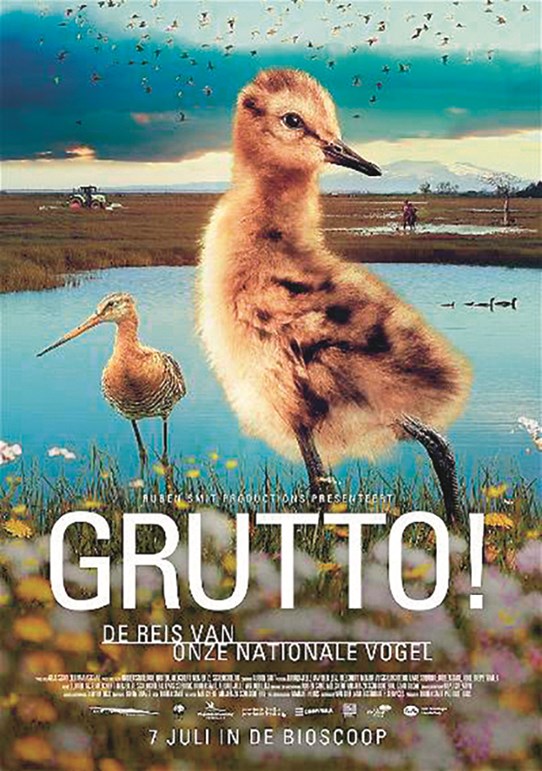 Grutto! poster