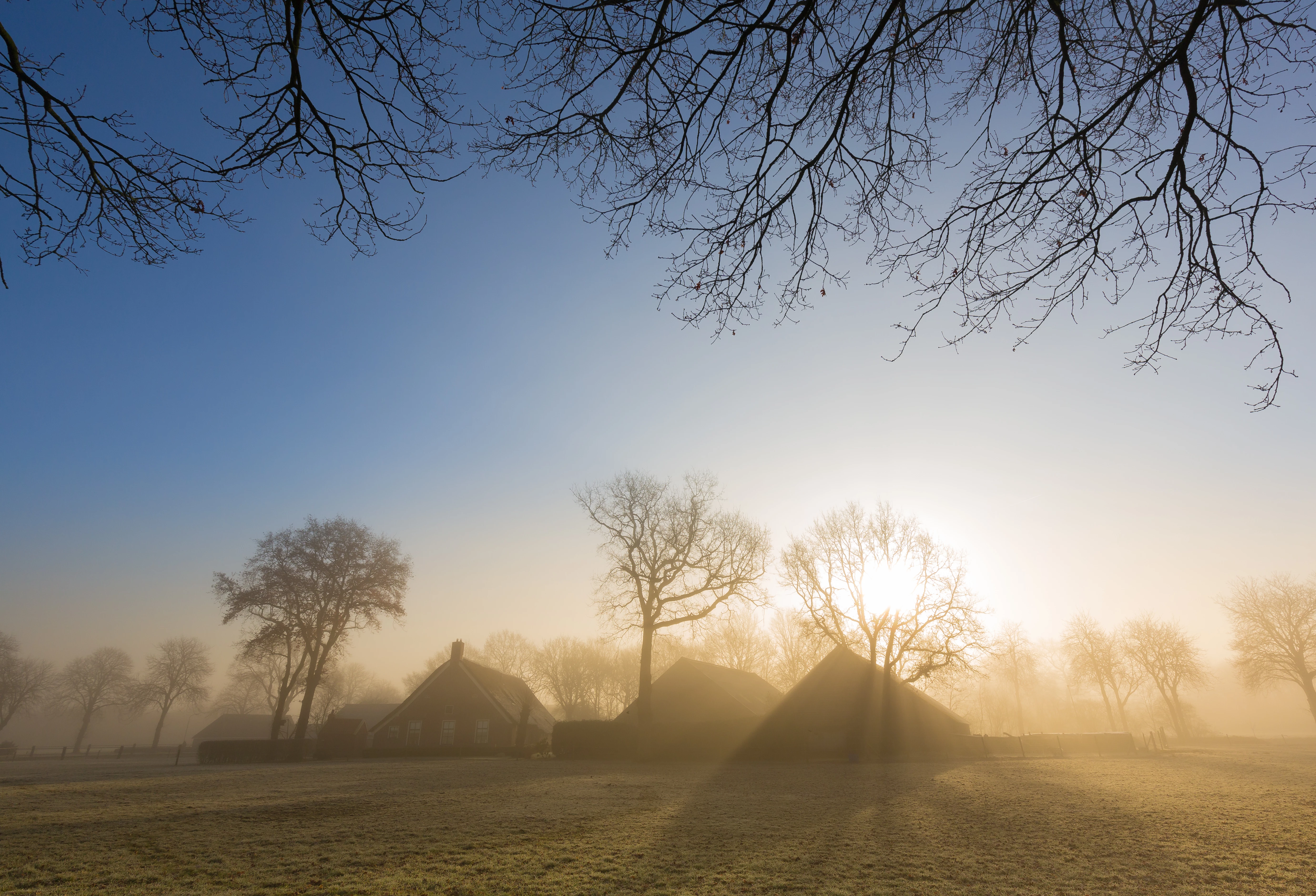 Boerderij in ochtendlicht