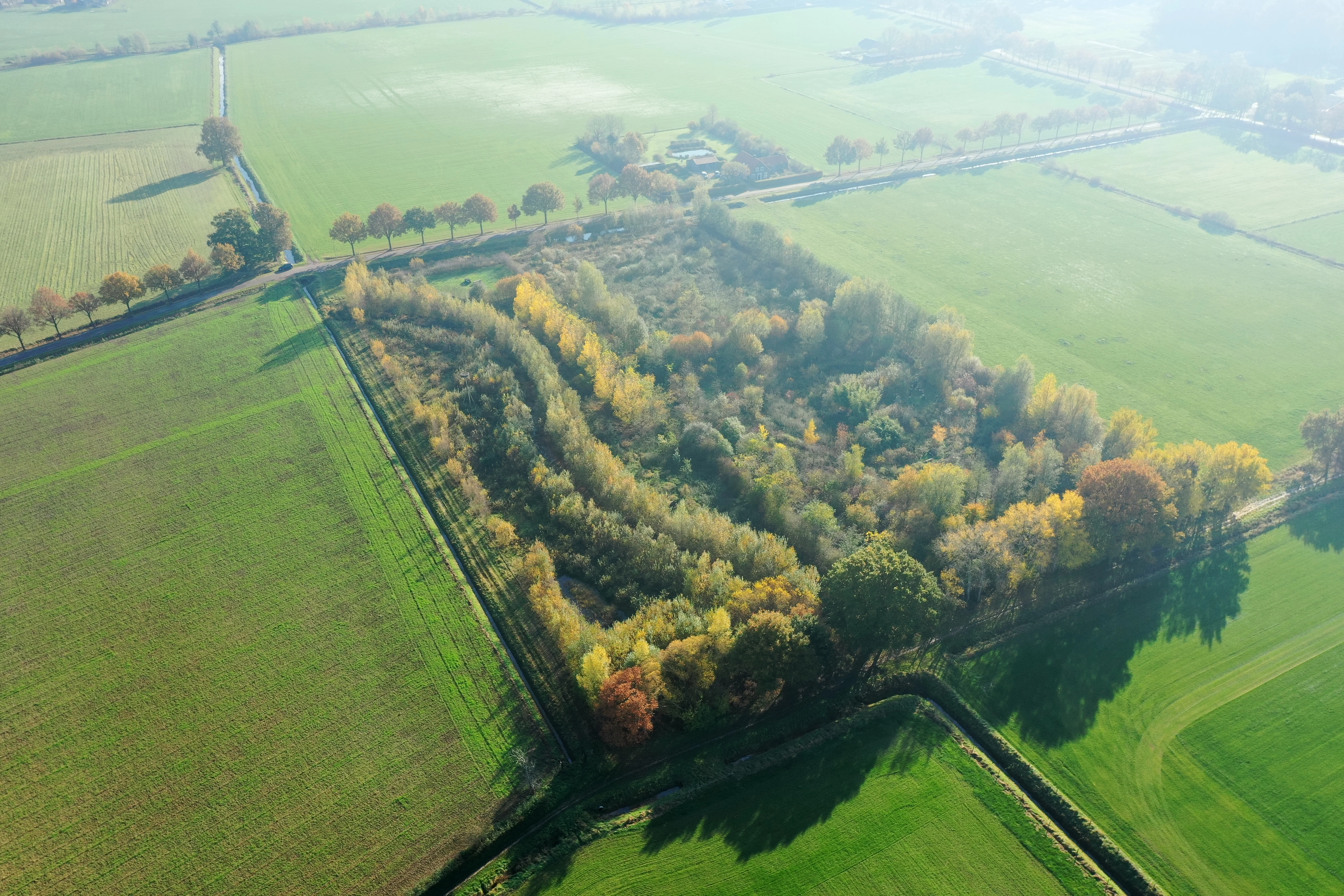 luchtfoto voedselbos ketelbroek november 2020