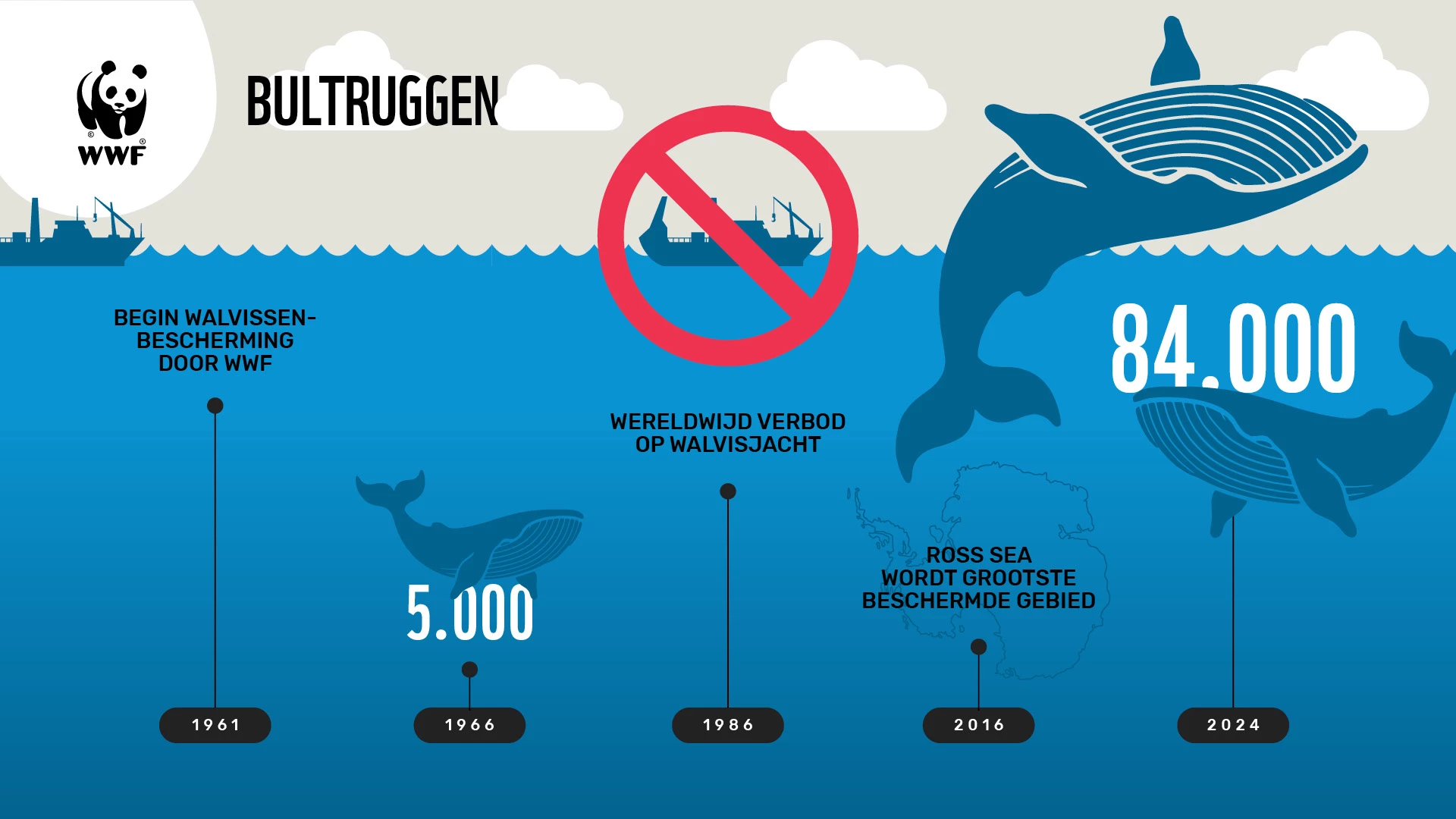 Infographic walvissen