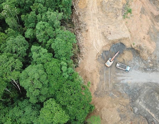 Ontbossing van bovenaf gezien, Borneo