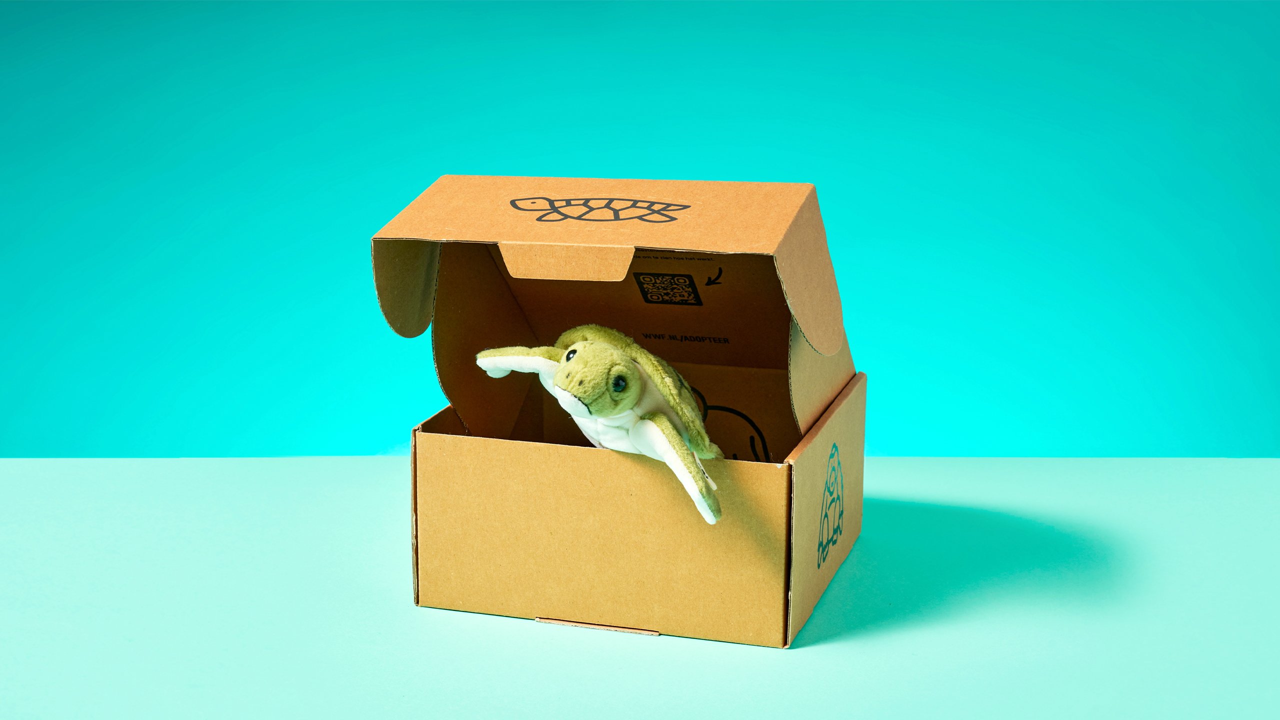 Knuffel Zeeschildpad met doos 02.jpg