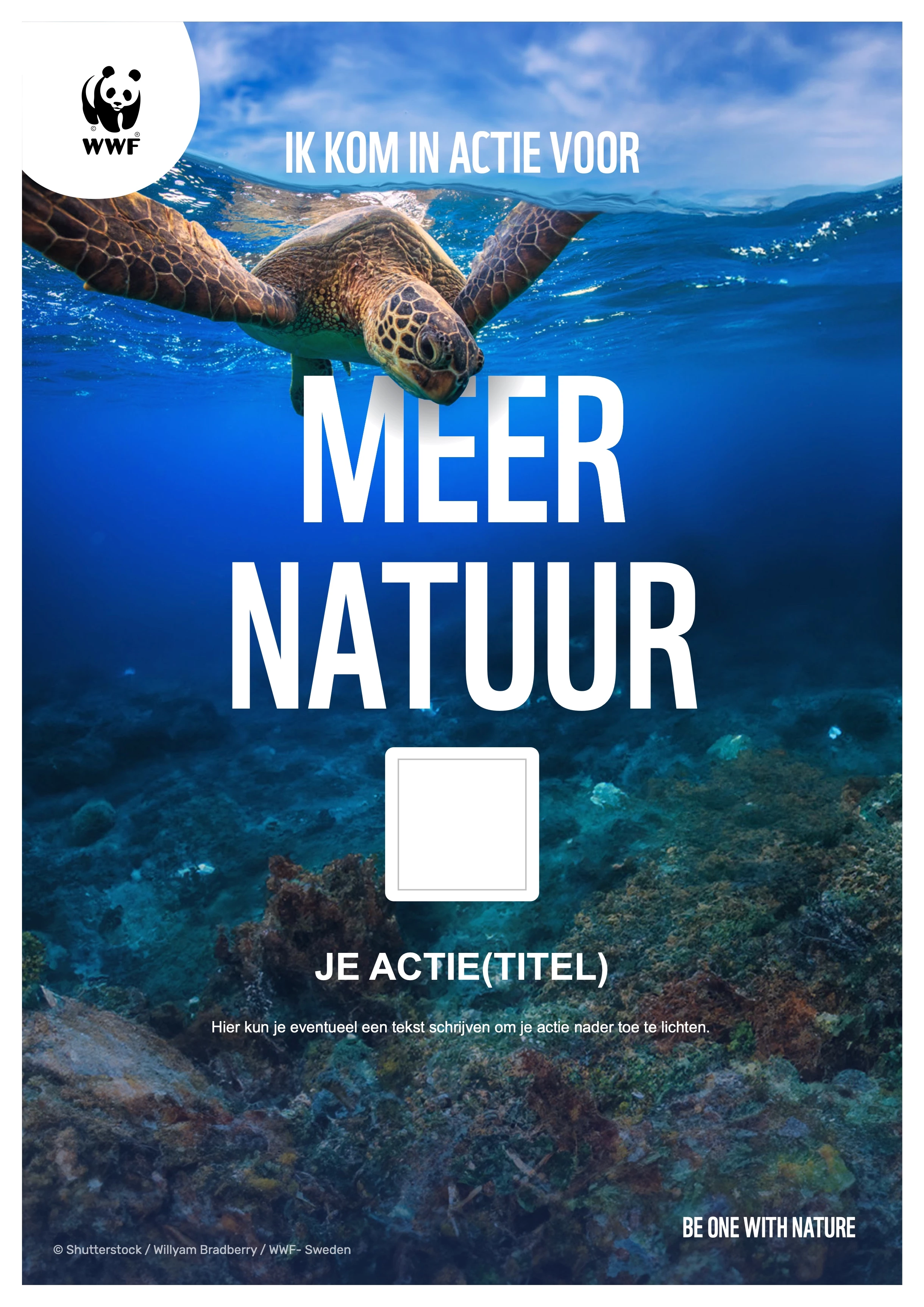 A4_Poster_CollecteBus_Meer Natuur_Zeeschildpad_Ik.jpg