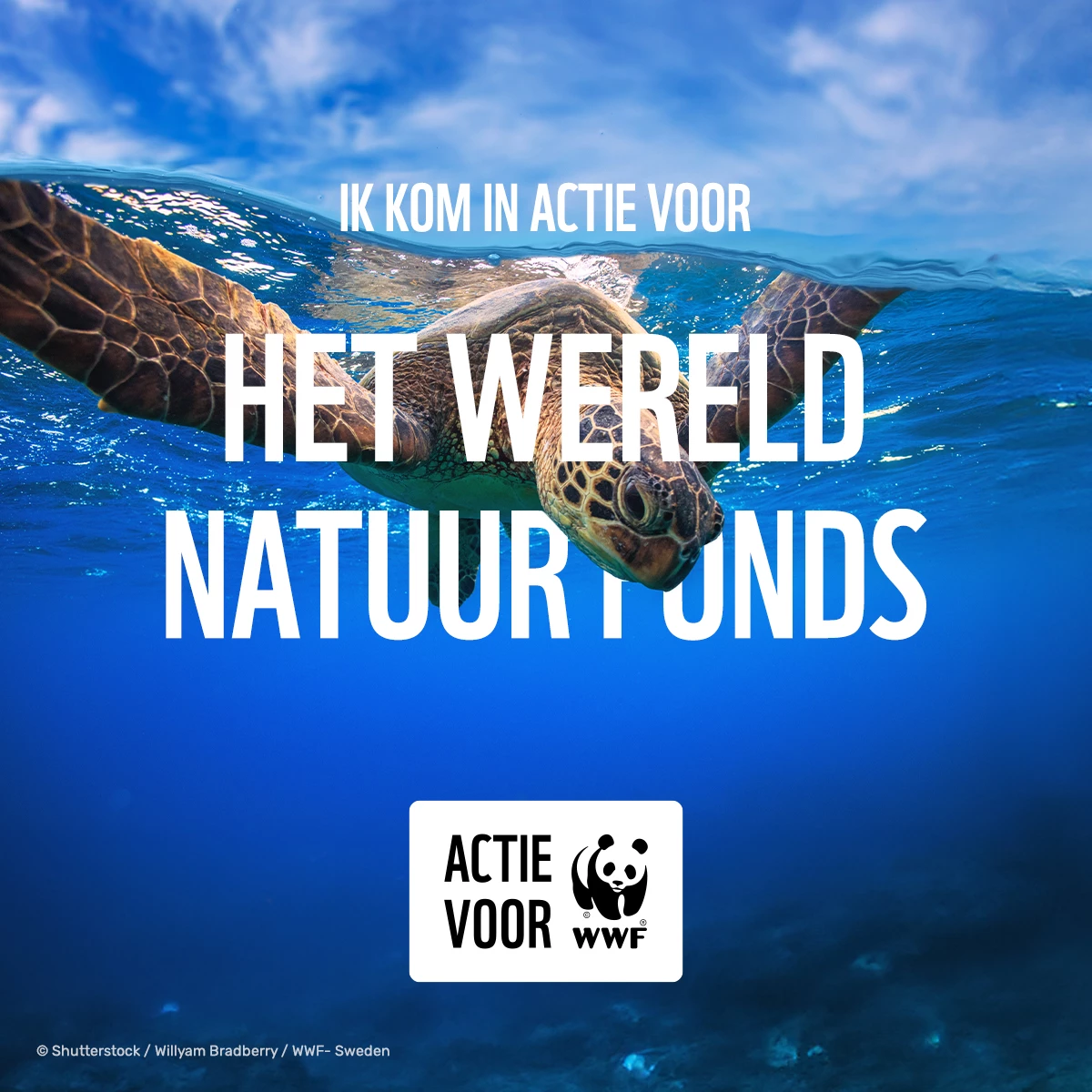 Social_CollecteBus_In Actie voor WWF_Dier.jpg