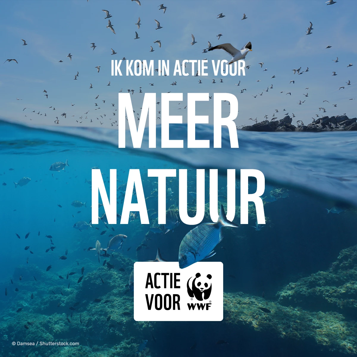 Social_CollecteBus_Meer Natuur_Oceaan.jpg