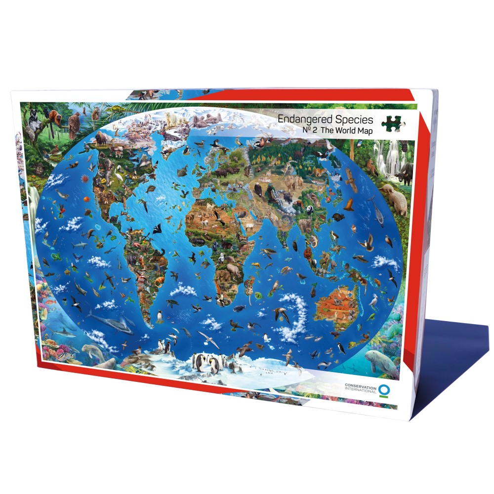 Puzzel stukjes De wereldkaart | | ons